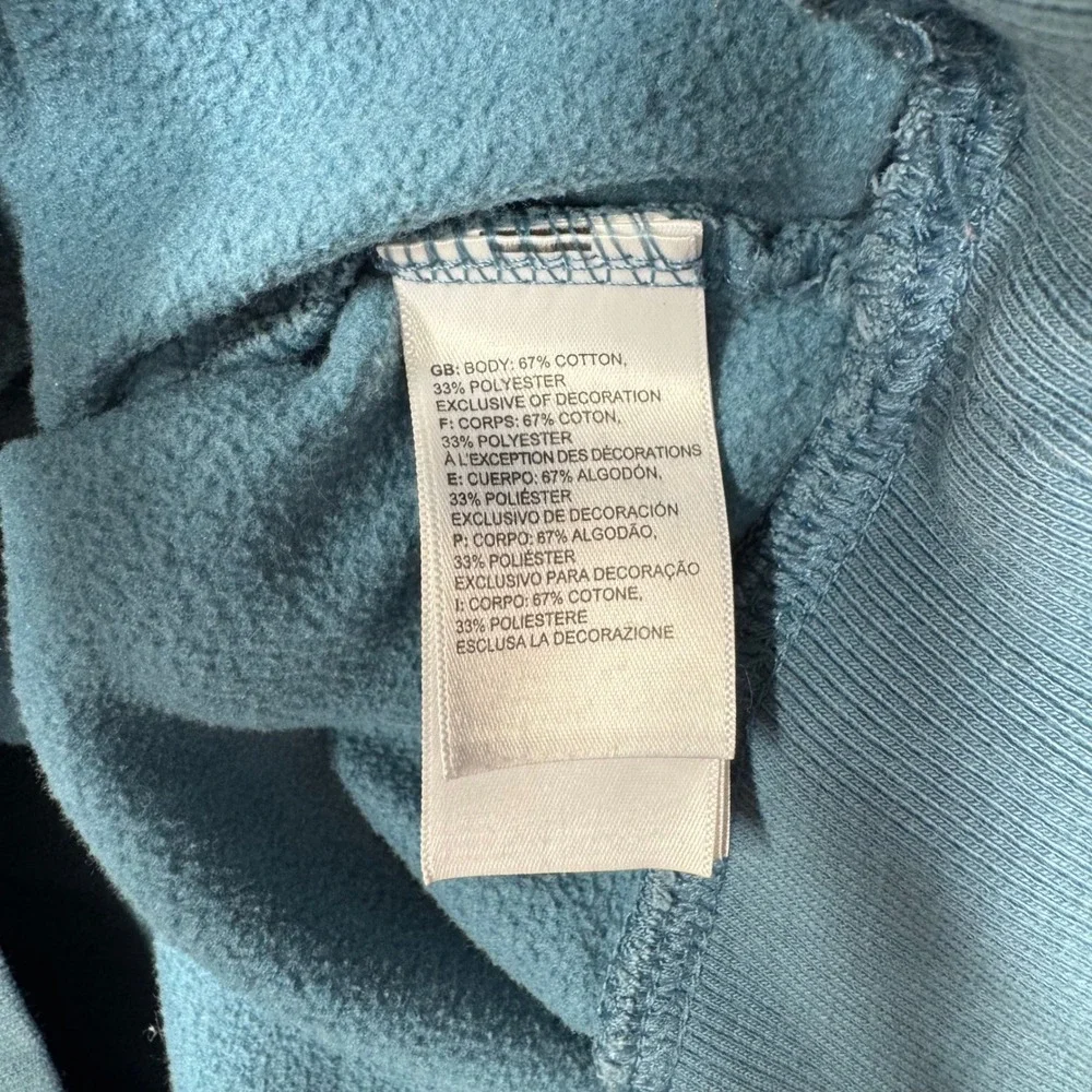 The North Face Mens Hoodie Large Blue Logo Pullover Fleece Sweatshirt (2658)